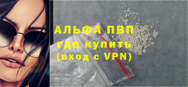 СК Сафоново