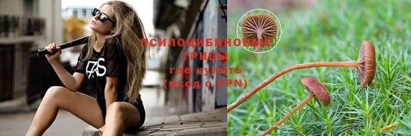 мескалин Абинск
