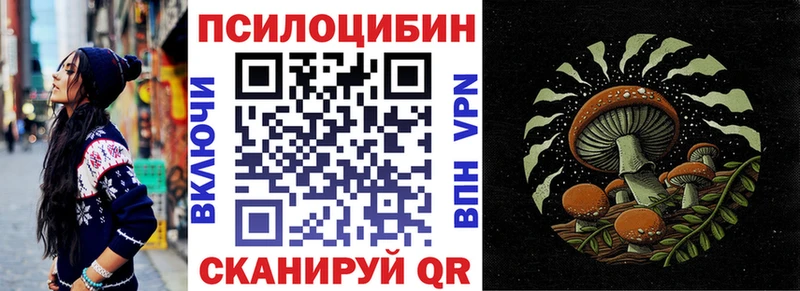 где найти наркотики  Заволжье  Галлюциногенные грибы мицелий 