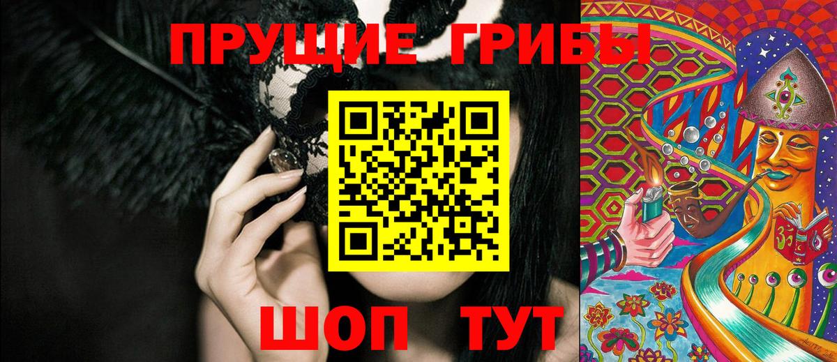 Псилоцибиновые грибы Cubensis  Вход с VPN  Заволжье 
