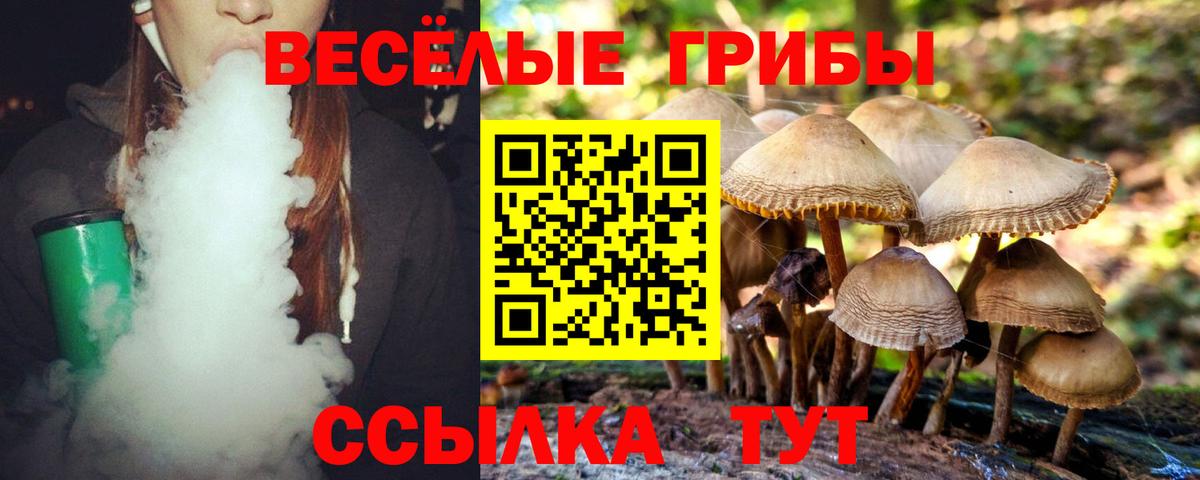 Псилоцибиновые грибы Psilocybe Заволжье